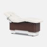 Camilla eléctrica SPA Onyx (3 motores) | Distribuidor oficial de Si...