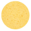 Éponge végétale naturelle pour le nettoyage du visage