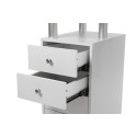 Aperçu du design ergonomique de la table de manucure