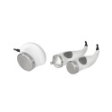 Ultrasonidos facial y corporal WEELKO, eficaz para tratamientos estéticos.