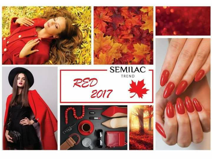 Tendances des couleurs pour l'automne et l'hiver 2017